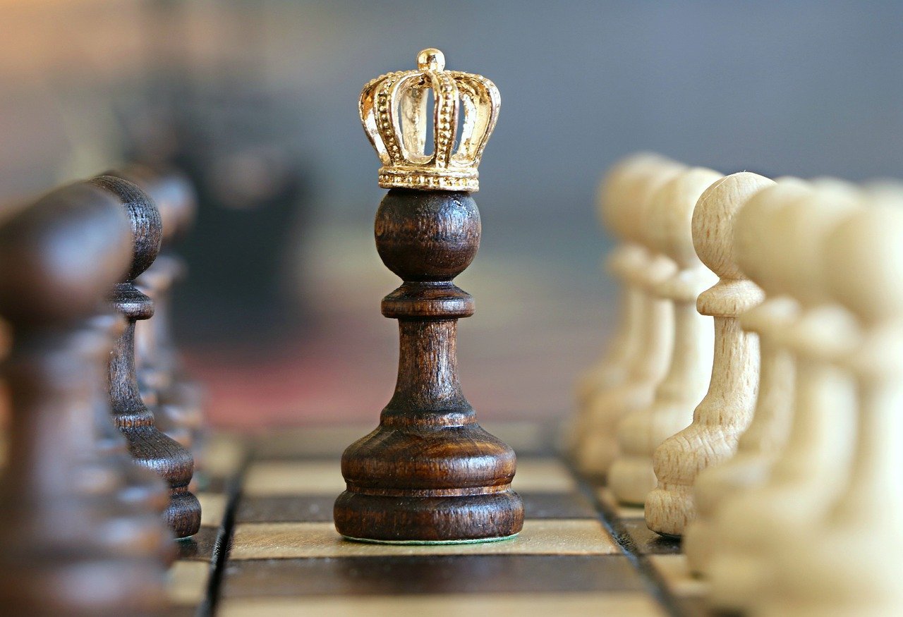 How to checkmate with rook and king? - Ranveer Mohite
